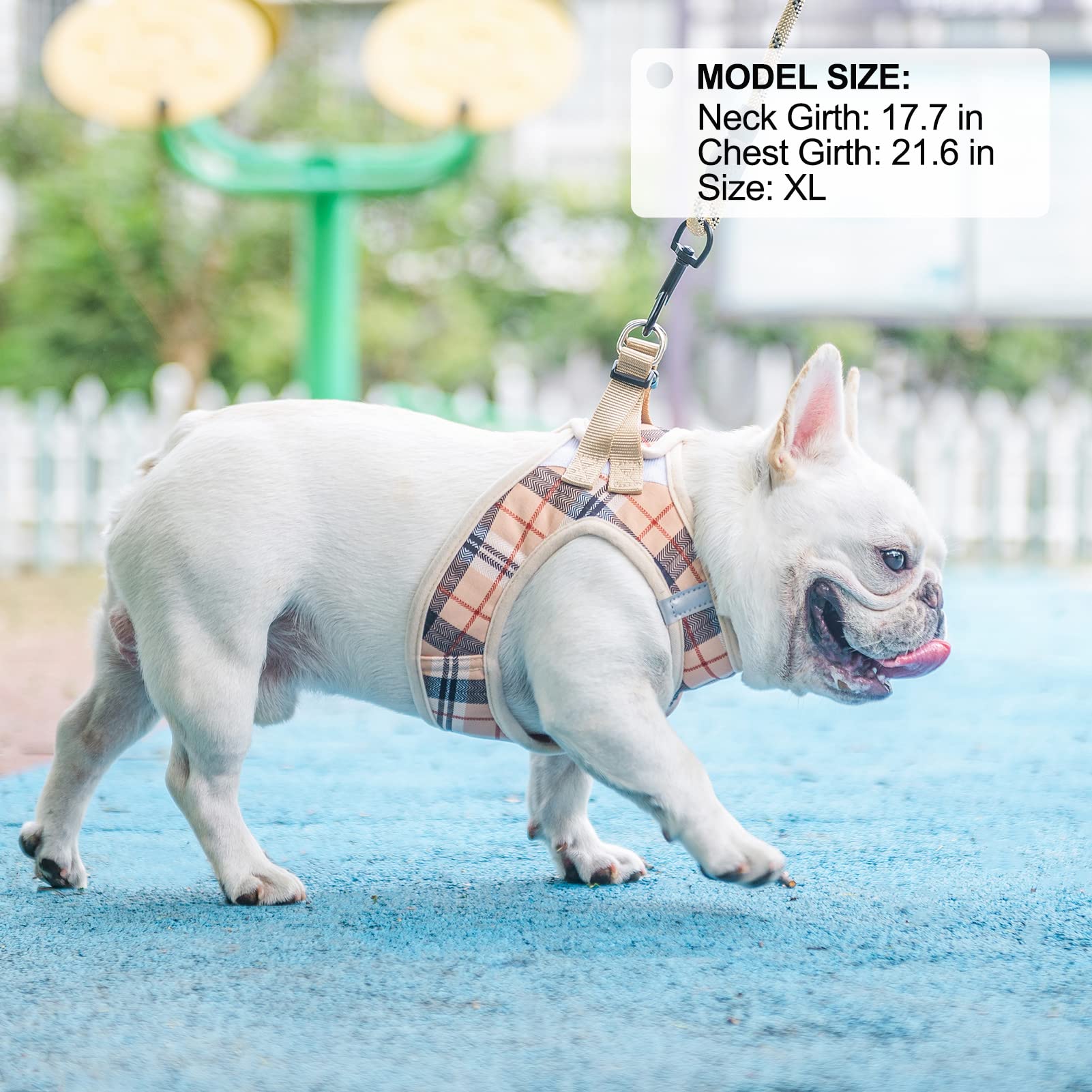 BEAUTYZOO 360-degree swivel d-ring reduces tangling during walks