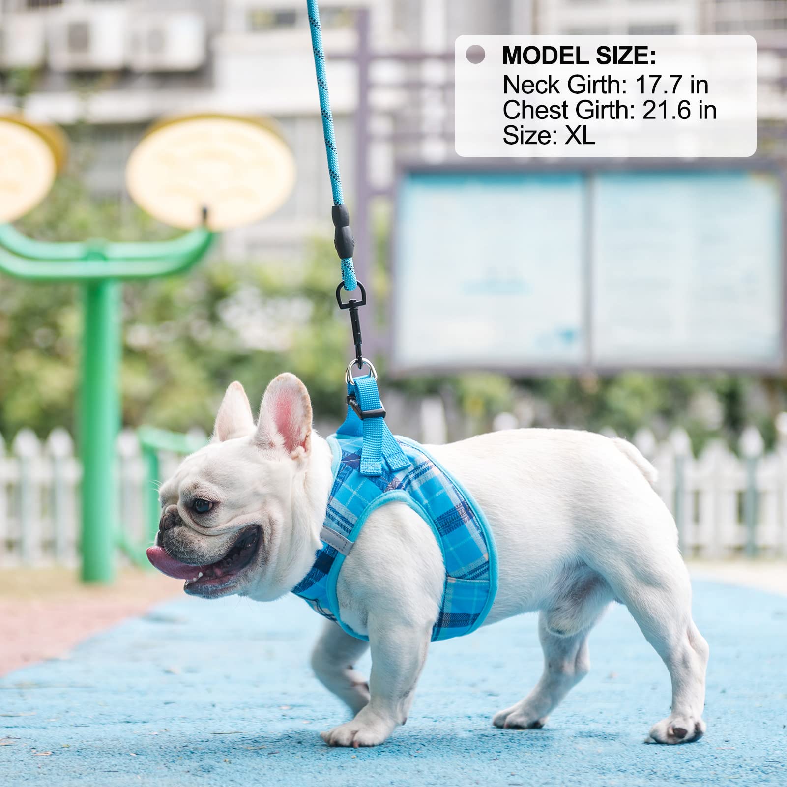 BEAUTYZOO 360-degree swivel hook prevents leash tangles