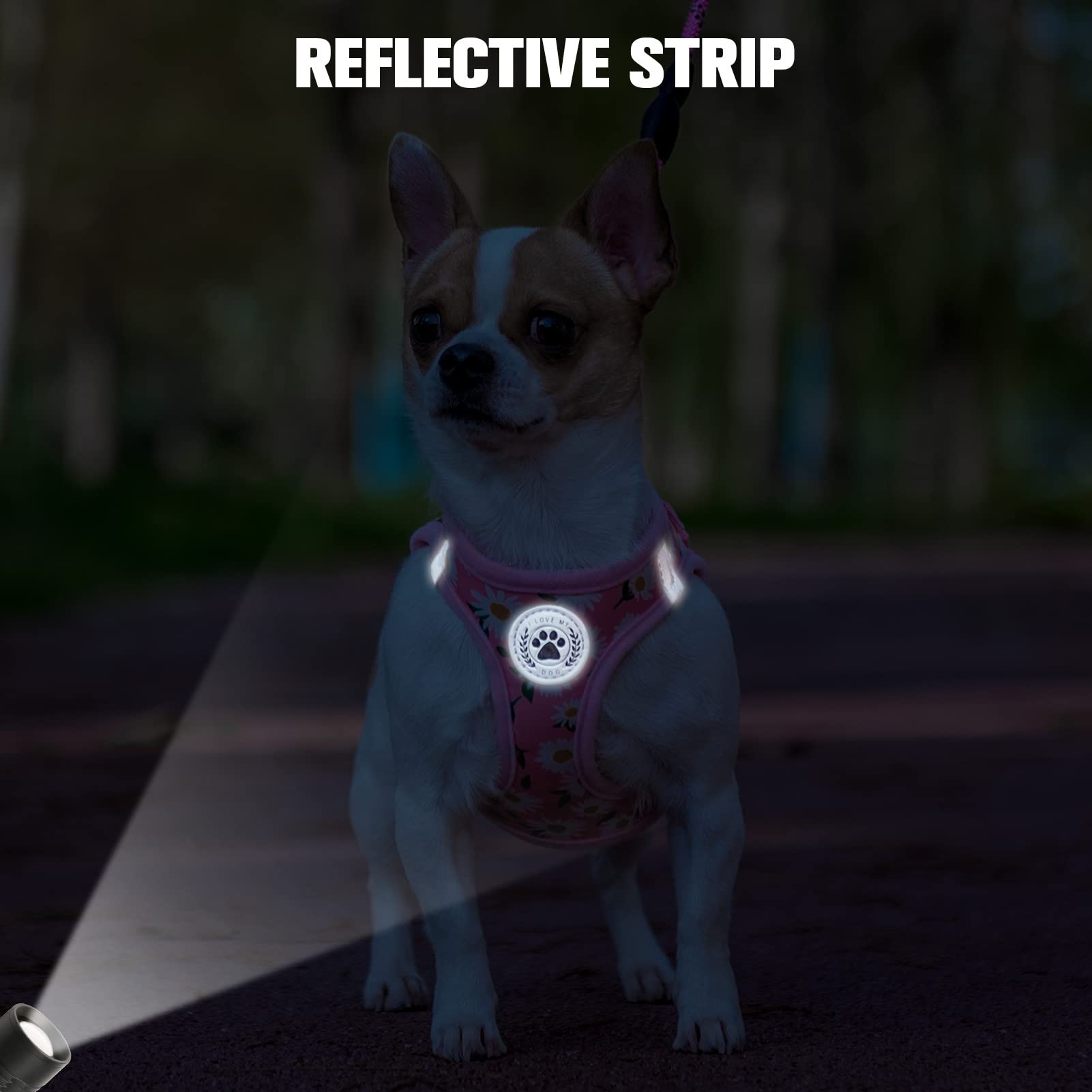 BEAUTYZOO 360 swivel leash clip reduces tangling during walks