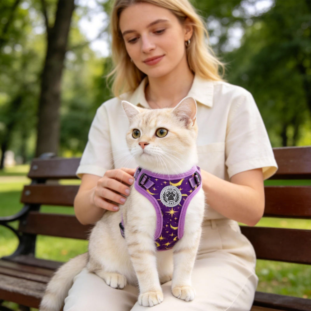 BEAUTYZOO 5ft leash included for easy control and steady connection