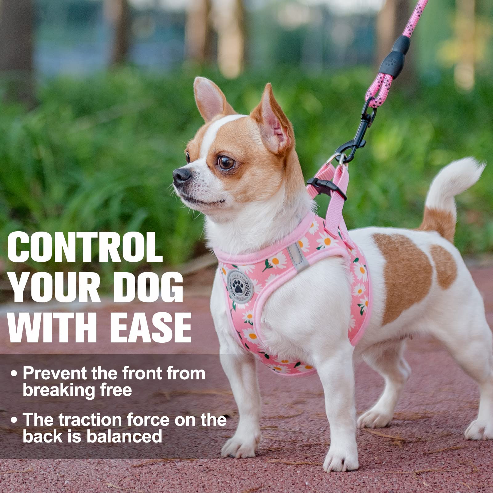 BEAUTYZOO 5 ft reflective leash keeps pets visible during outings