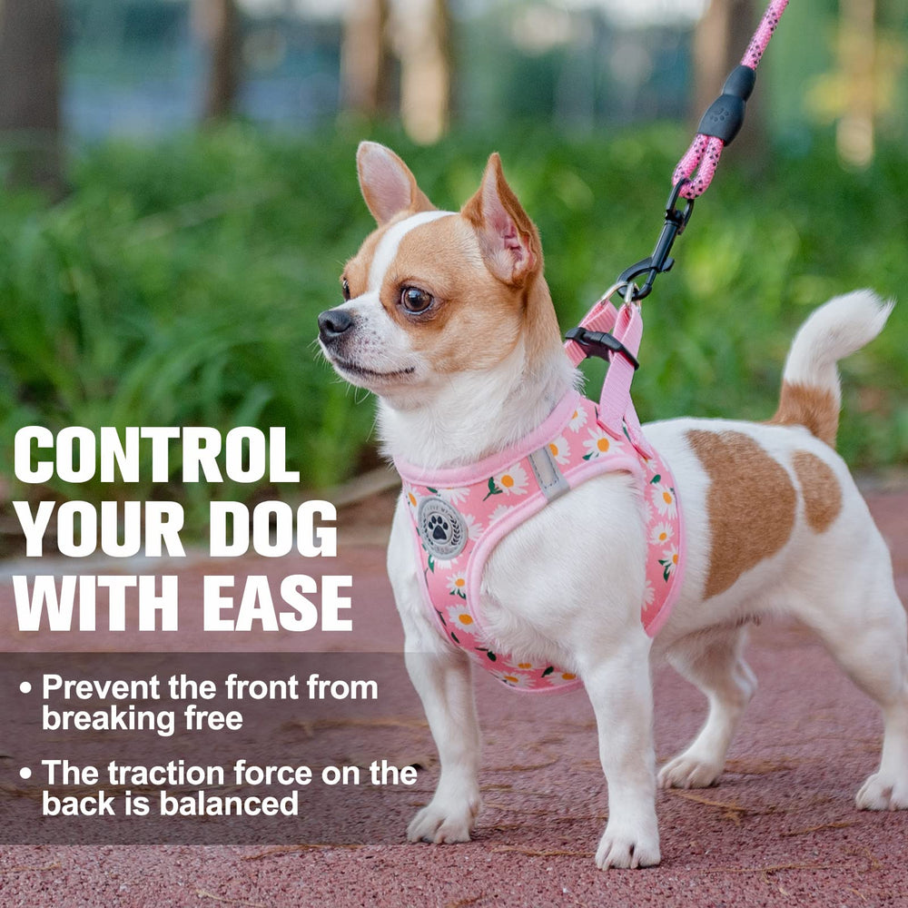 BEAUTYZOO 5 ft reflective leash keeps pets visible during outings