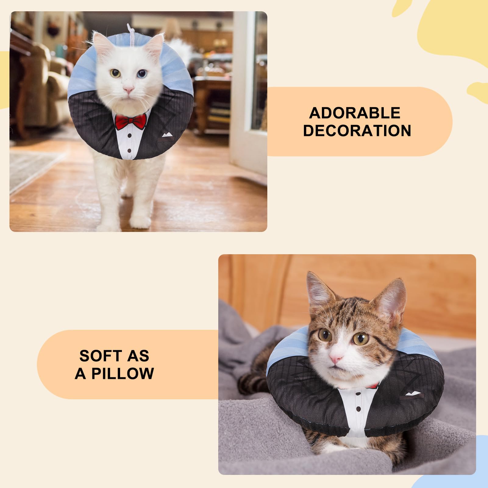 BEAUTYZOO soft, lightweight cone collar on cat for daily comfort.