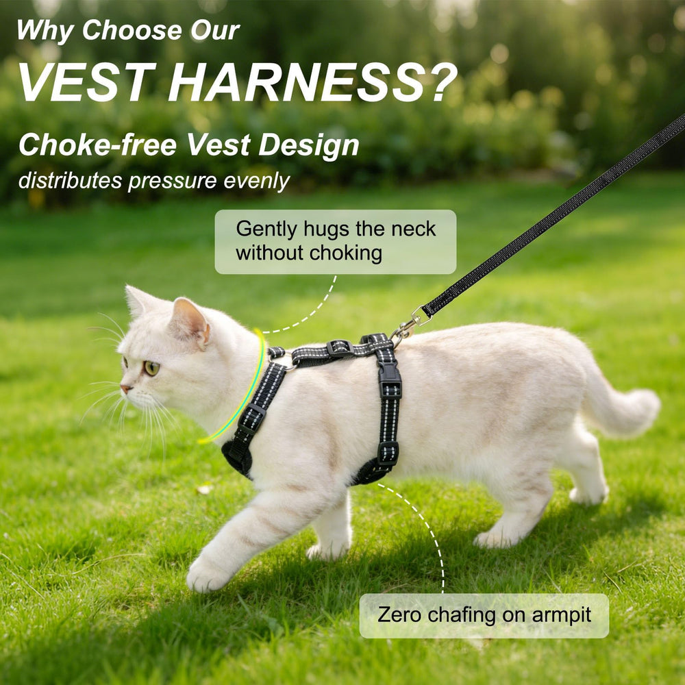 Beautyzoo cat vest harness escape-proof for secure outdoor adventures