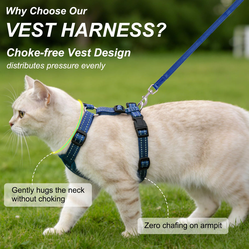BEAUTYZOO escape-proof harness with five adjustment sliders
