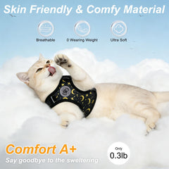 BEAUTYZOO 5 ft leash provides comfortable control on outdoor adventures.