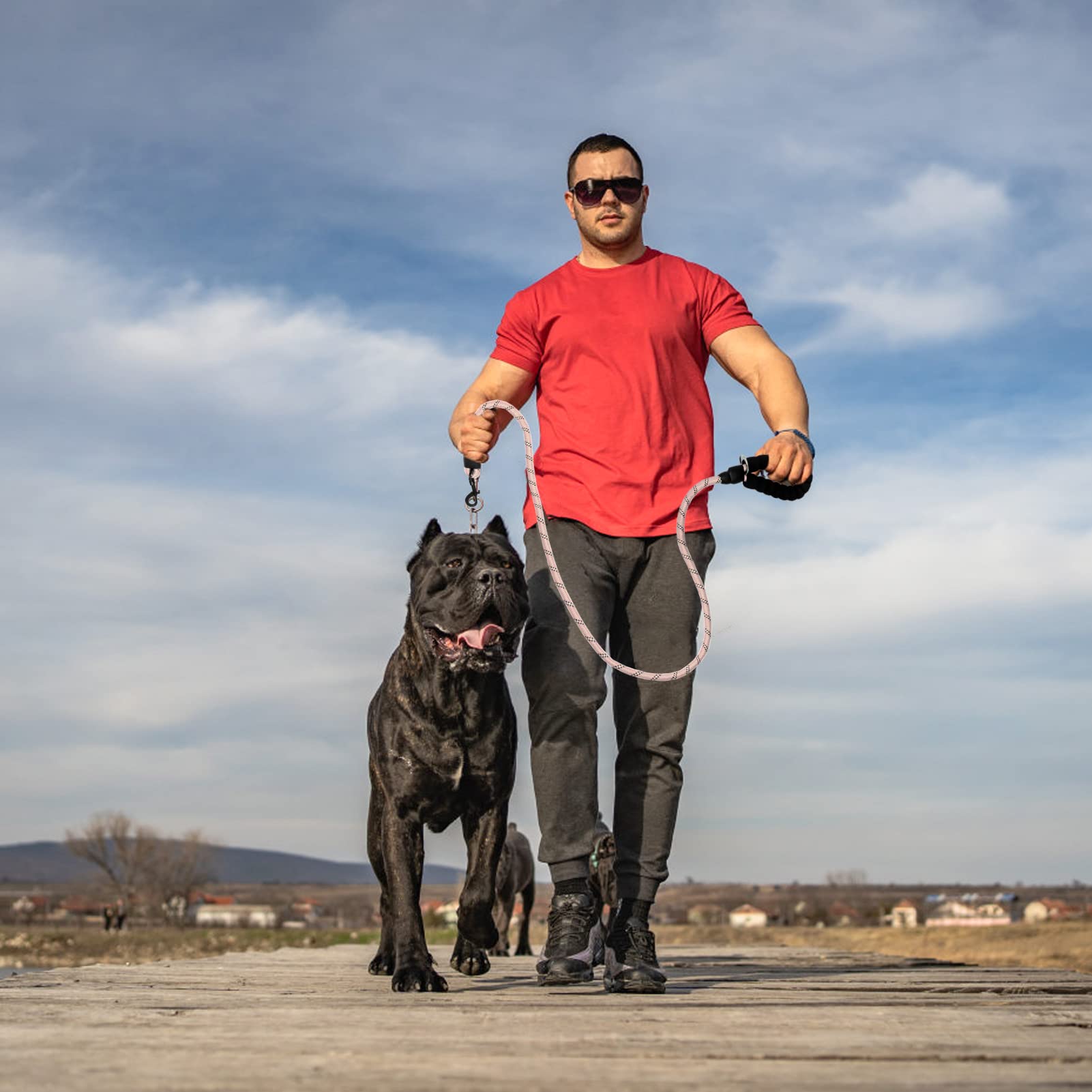 BEAUTYZOO colorful six-pack lets you match outfits and moods.