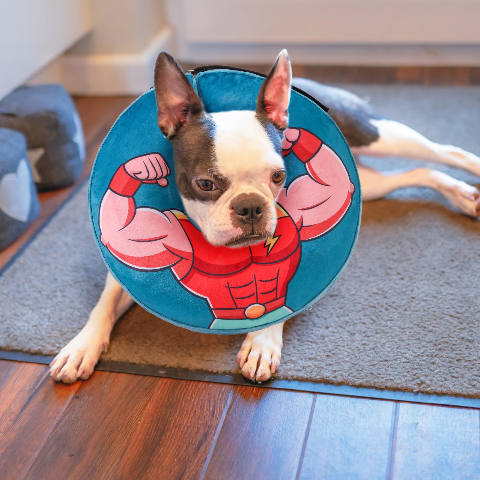 BEAUTYZOO compact-storage-donut-collar deflates for easy storage