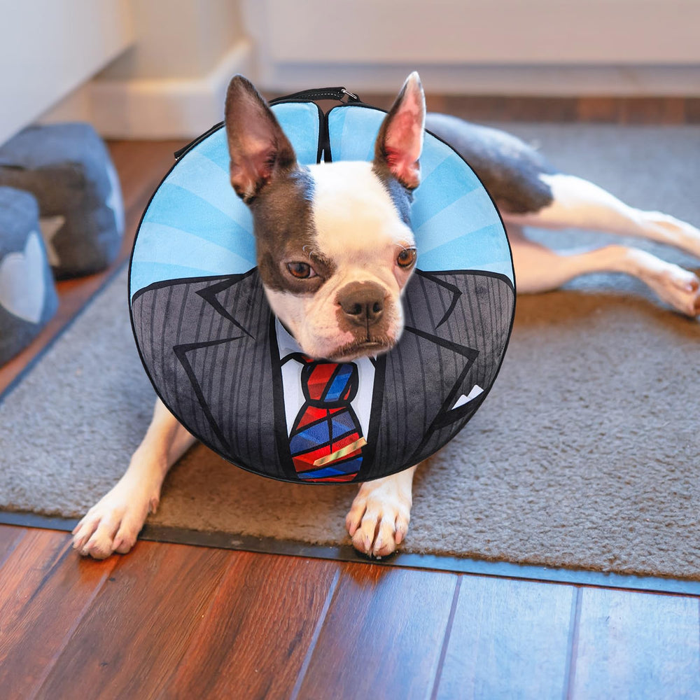 BEAUTYZOO dog-cone-alternative-night-visibility image highlights reflective design.
