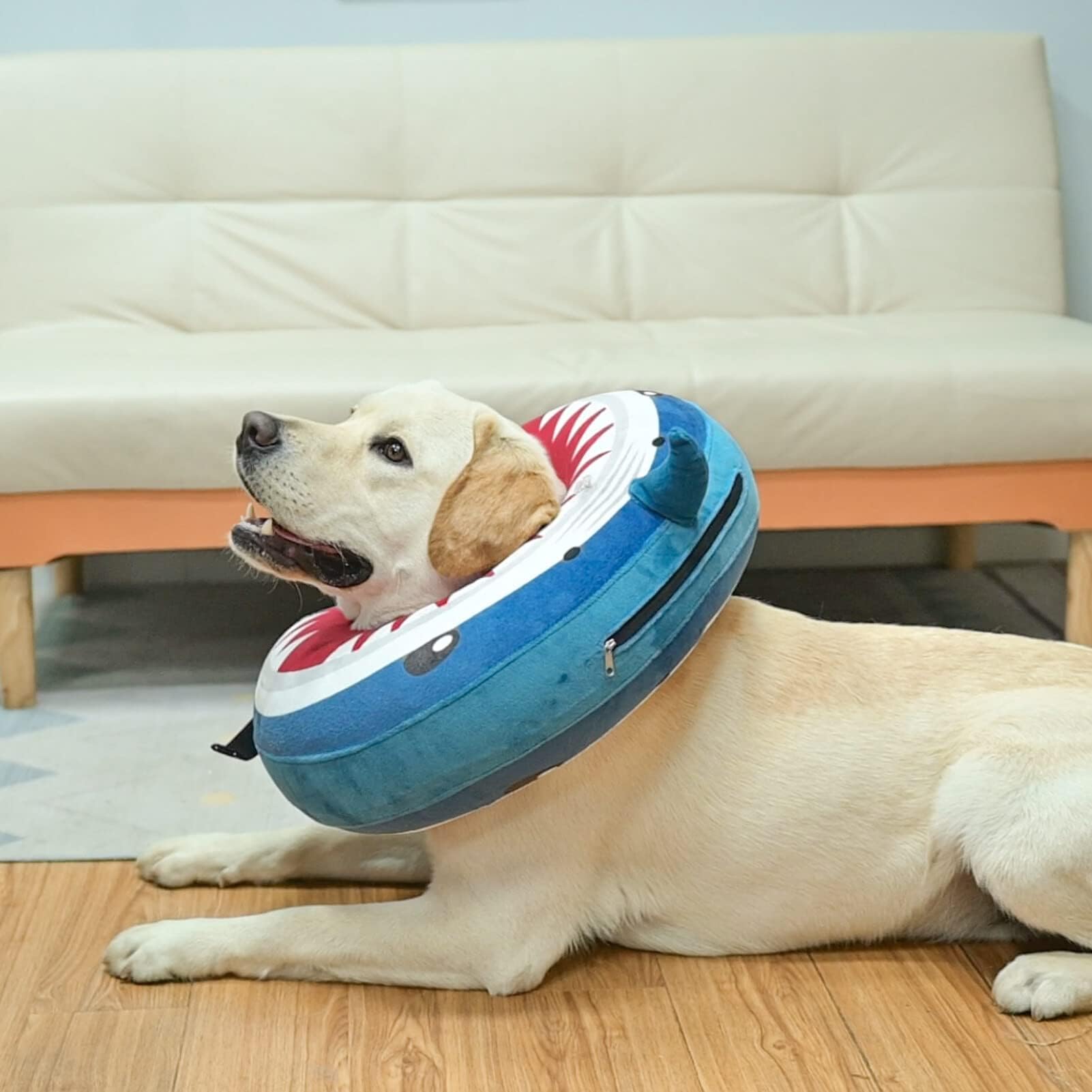BEAUTYZOO packaged collar in box for convenient storage