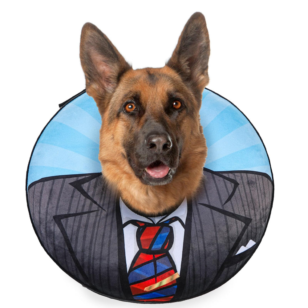BEAUTYZOO donut-collar wide-fit shows comfortable neck protection for dogs.