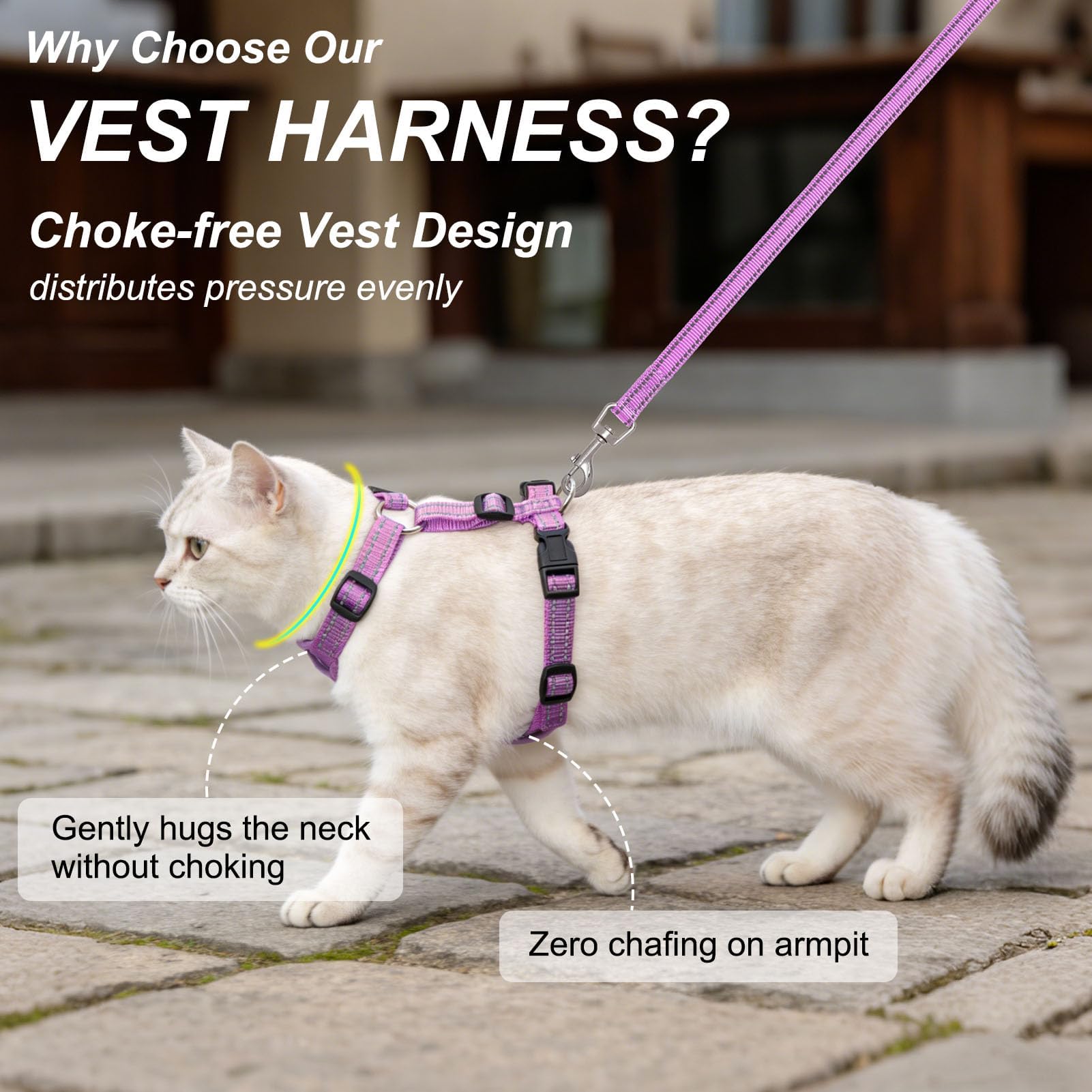 BEAUTYZOO escape-proof vest harness keeps your cat secure during adventures.