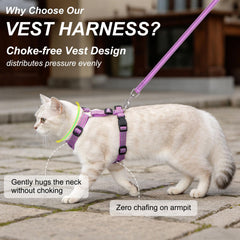 BEAUTYZOO escape-proof vest harness keeps your cat secure during adventures.