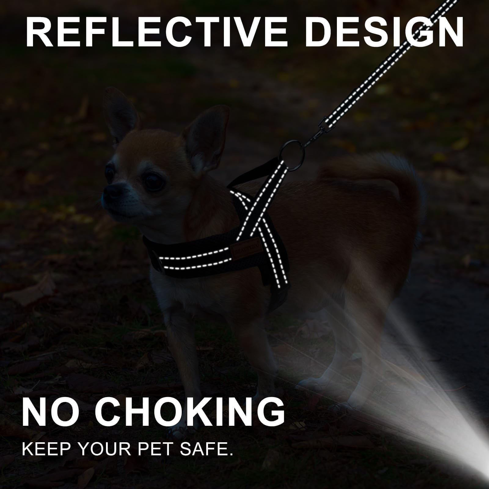 BEAUTYZOO front O-rings prevent lunging for safer public outings.