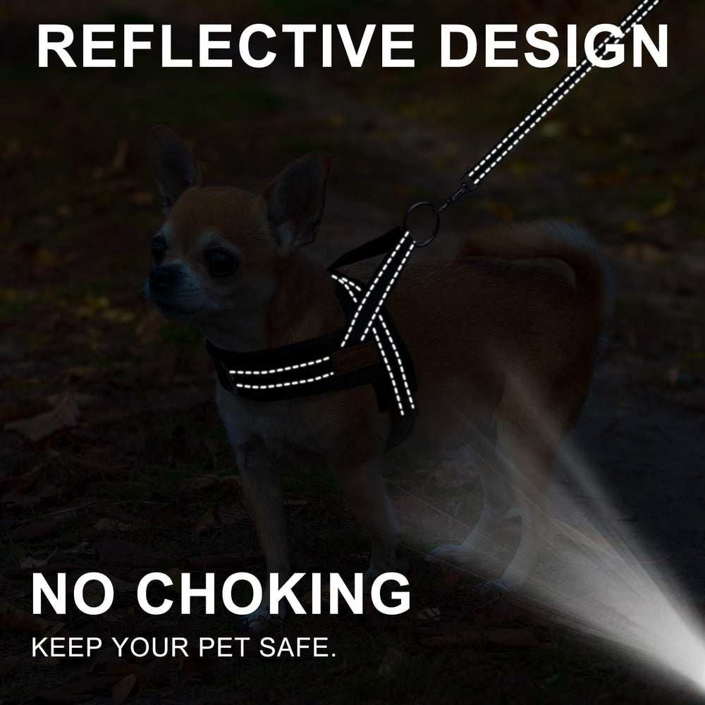 BEAUTYZOO front O-rings prevent lunging for safer public outings.