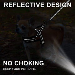 BEAUTYZOO front O-rings prevent lunging for safer public outings.