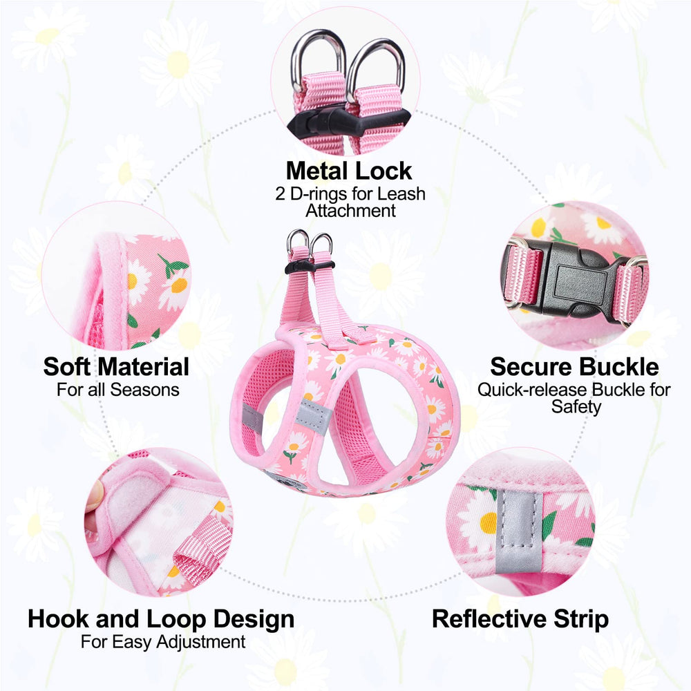 BEAUTYZOO Heavy-duty buckle ensures secure closure during activity