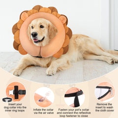 BEAUTYZOO large dog cone size L for neck 16-18 inches.