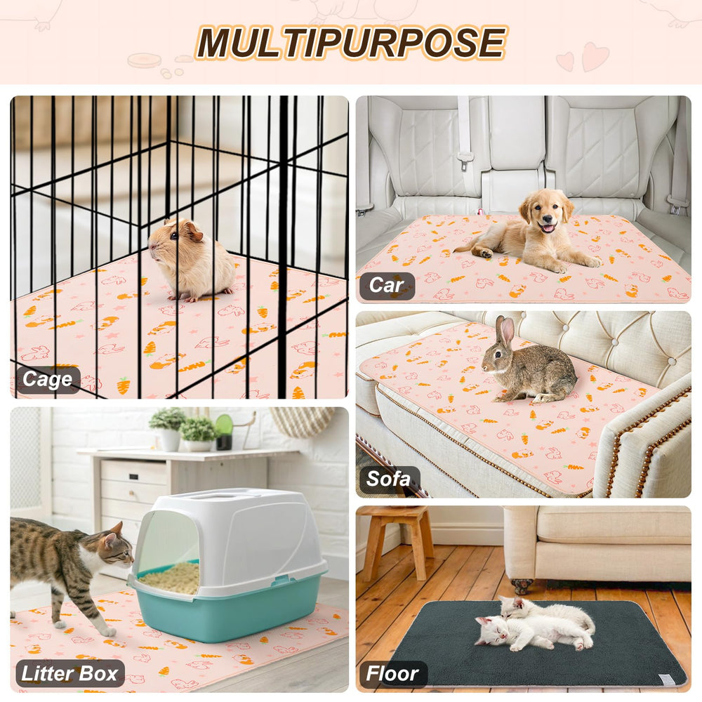 BEAUTYZOO machine washable design saves time and keeps habitats fresh