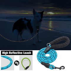 BEAUTYZOO leash with reflective thread improves night walk visibility.