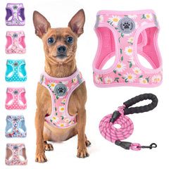 BEAUTYZOO Step-in Harness floral front view shows secure fit for tiny dogs