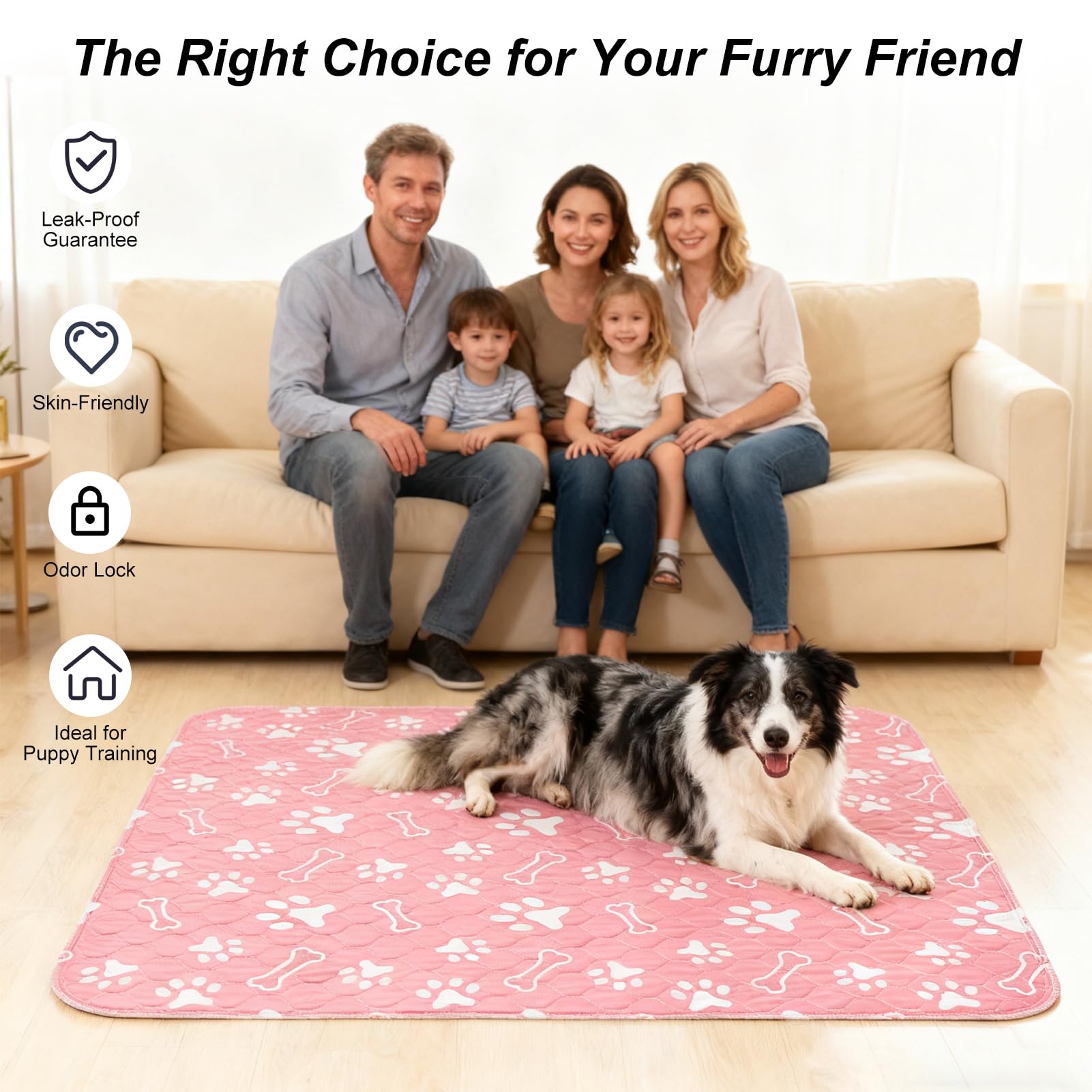 BEAUTYZOO patterned pads add style while protecting floors during training