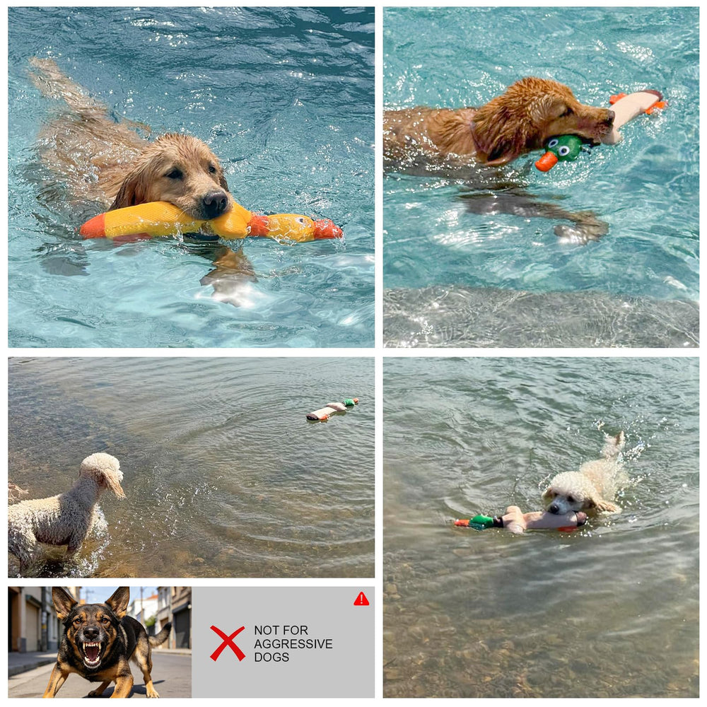 BEAUTYZOO two-tone duck toy adds color to pool play.