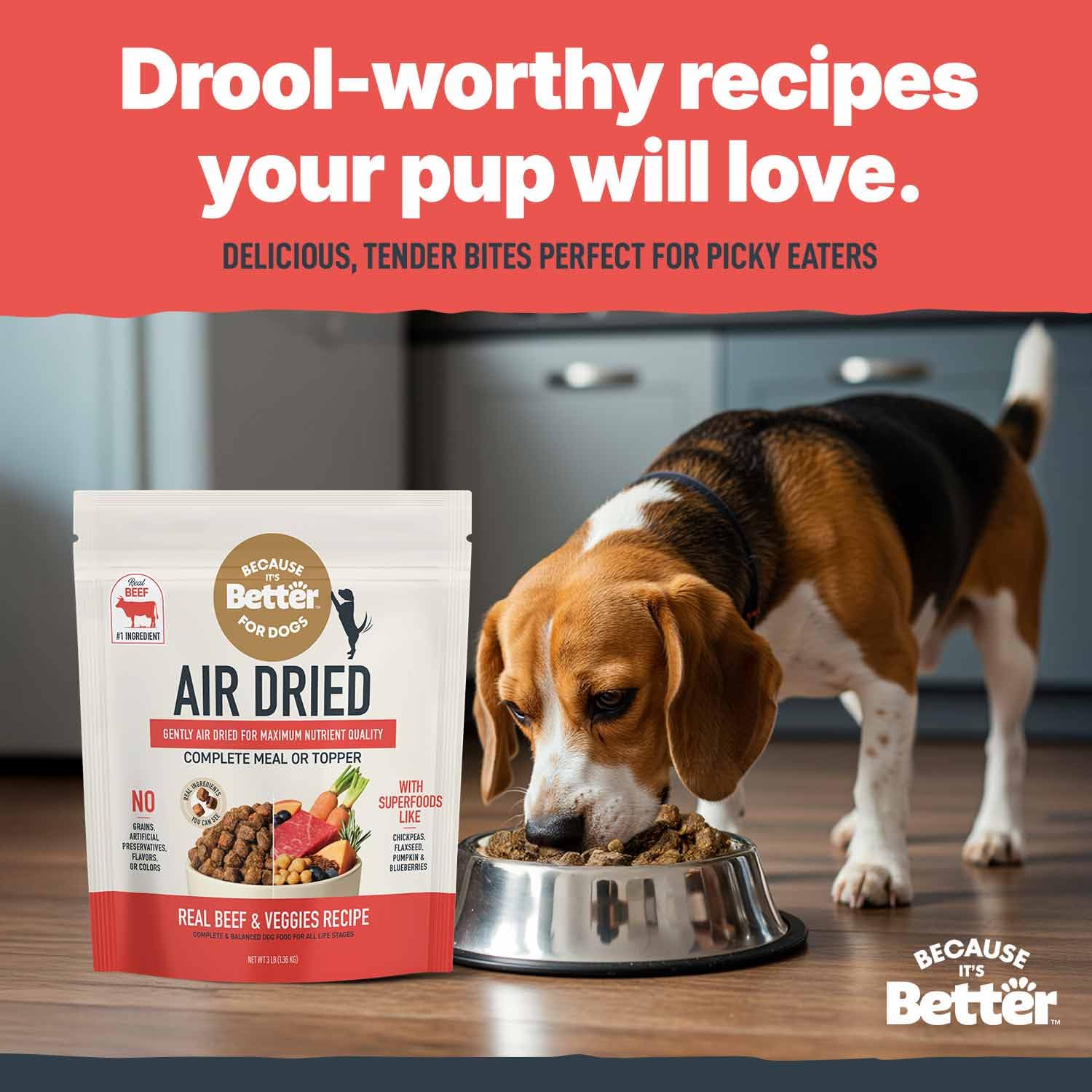 Because It's Better grain-free kibble texture close-up