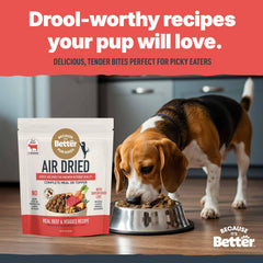 Because It's Better grain-free kibble texture close-up