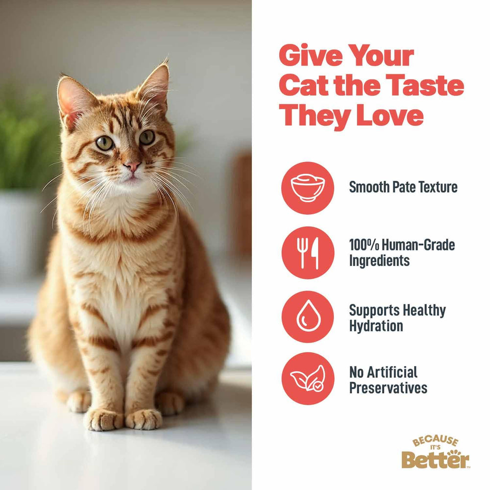 Because It’s Better pâté pouch being poured, showing serving-friendly texture.