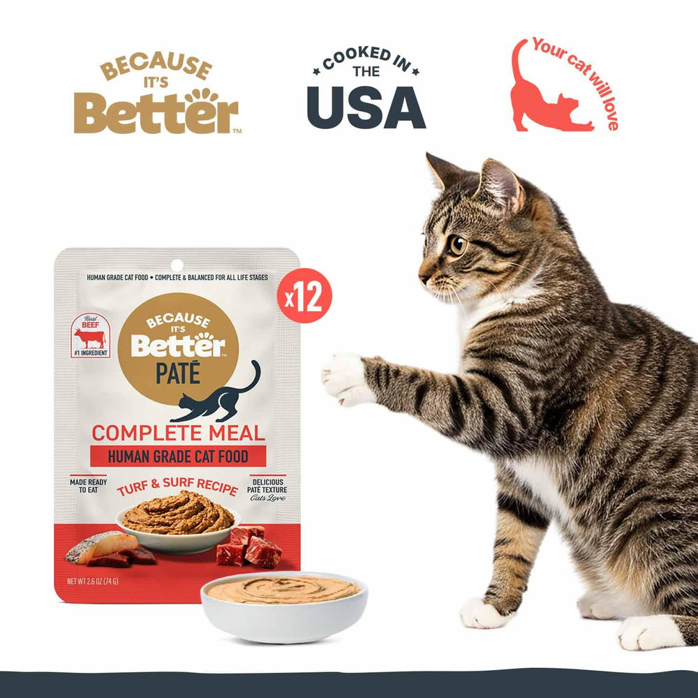 Because It’s Better pâté served in a bowl, demonstrating easy serving for cats.