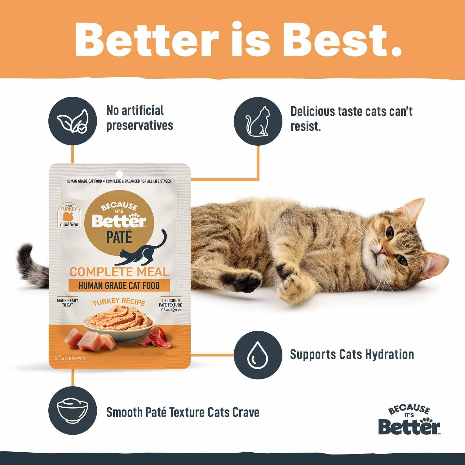 It's Better Pate grain-free option for cats.