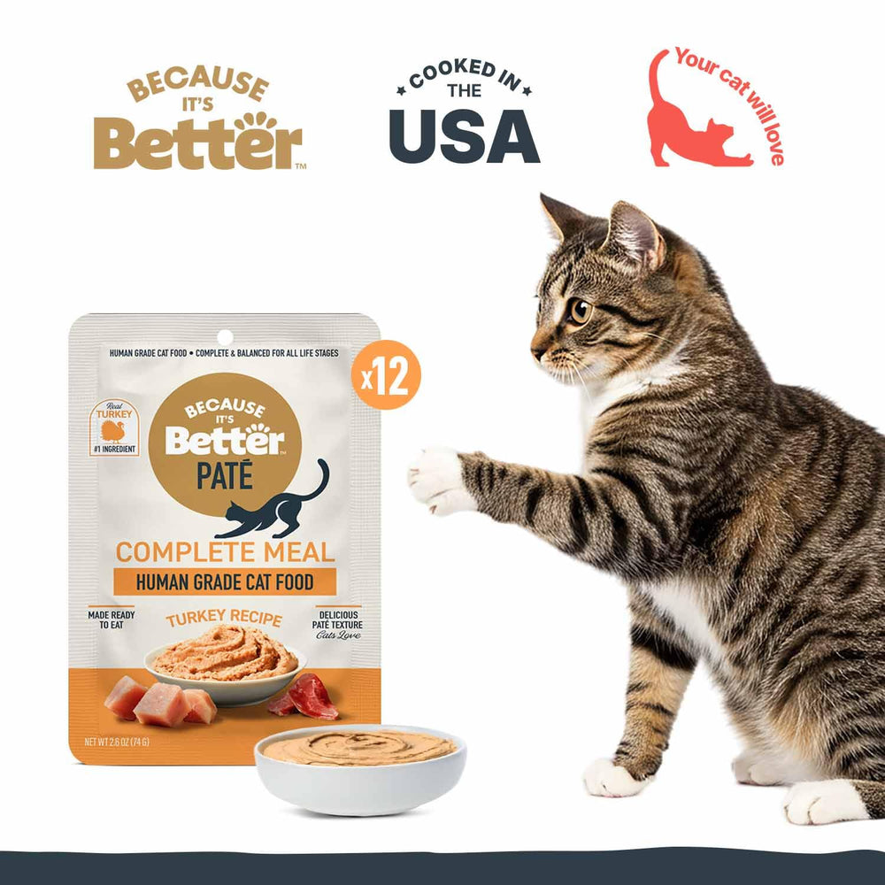 It's Better Pate smooth texture close-up highlighting creamy mouthfeel.