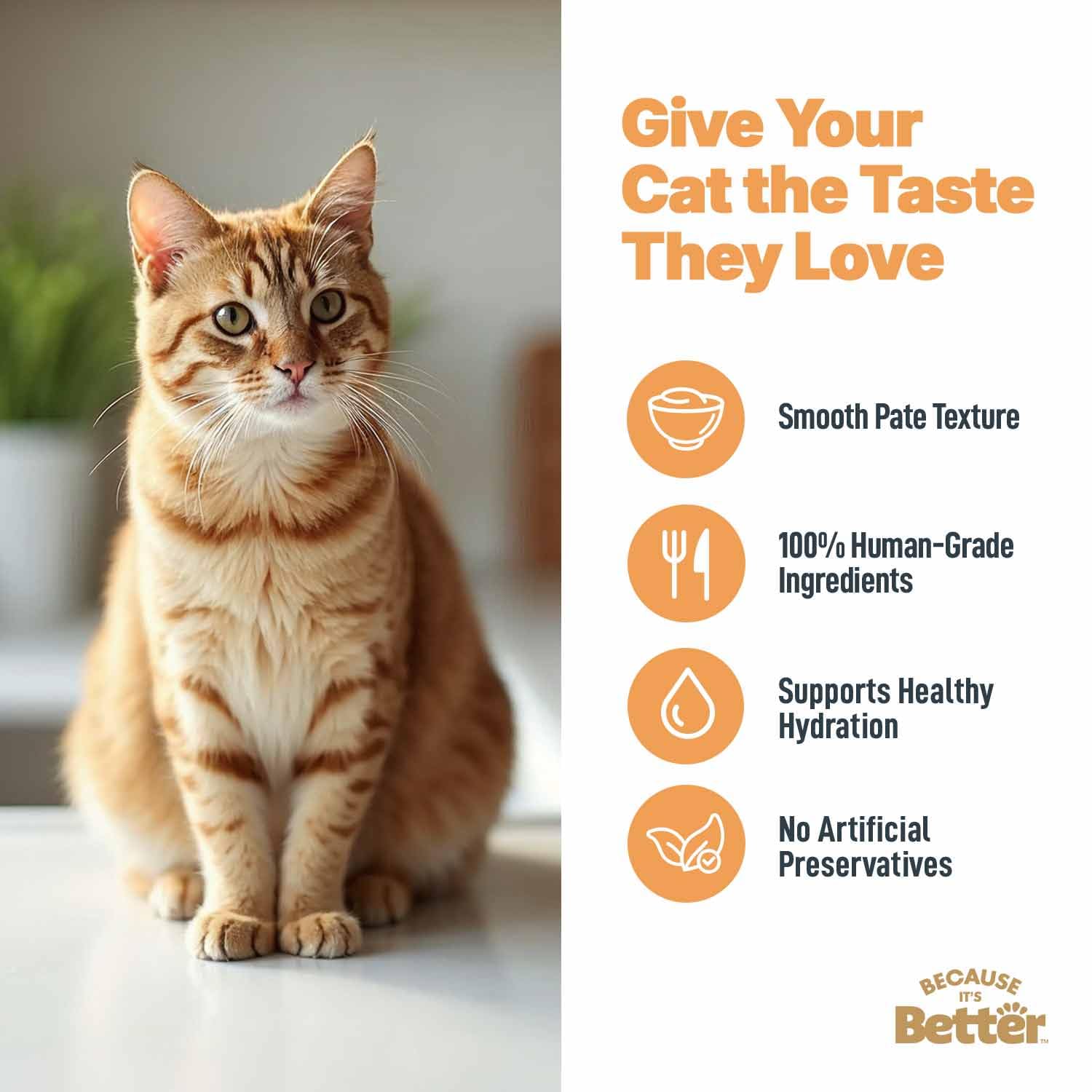 It's Better Pate turkey pouch served for picky eaters.