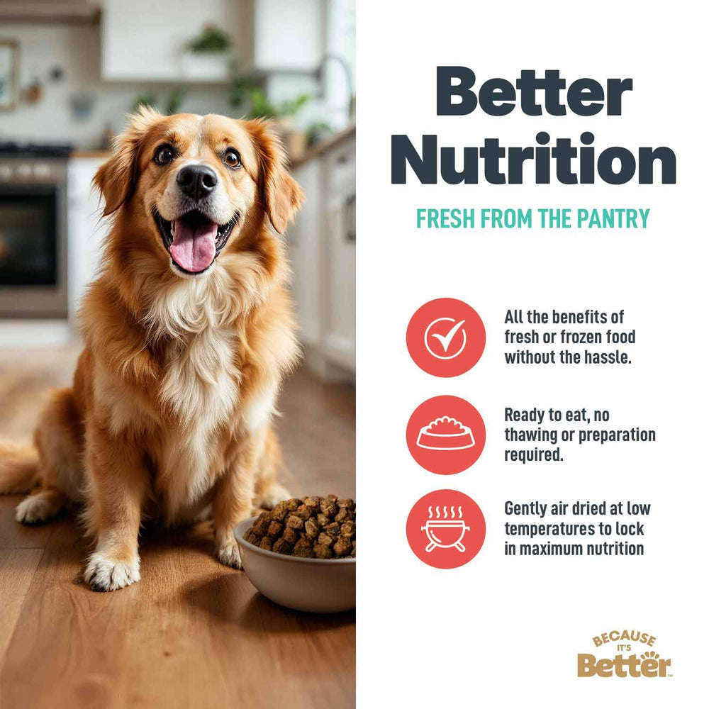 Because It's Better portion-ready serving setup for easy feeding