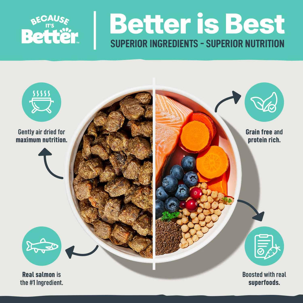 Because It's Better visible vegetables in bites showcase wholesome, practical nutrition for dogs.