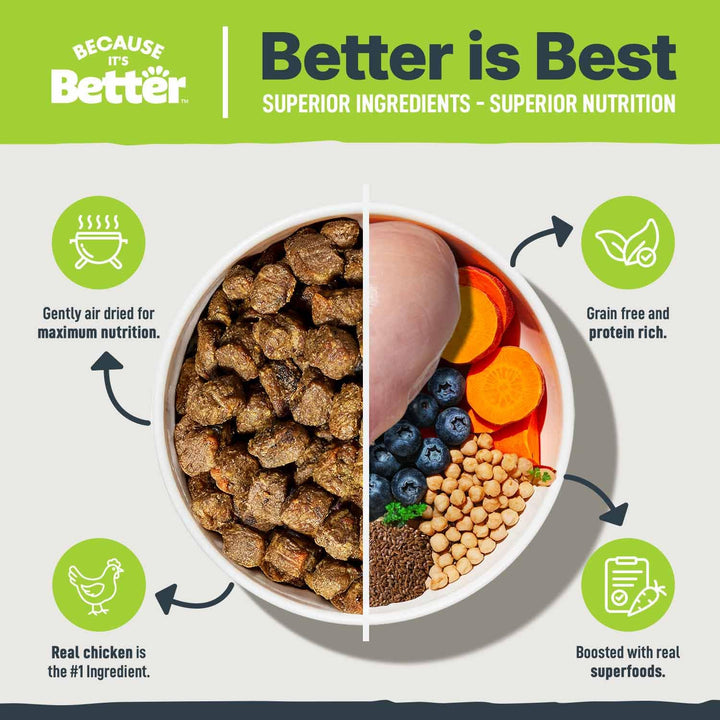 Because It’s Better real chicken ingredients highlight high-quality protein for active dogs.
