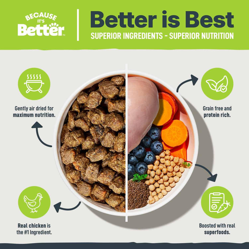 Because It’s Better real chicken ingredients highlight high-quality protein for active dogs.