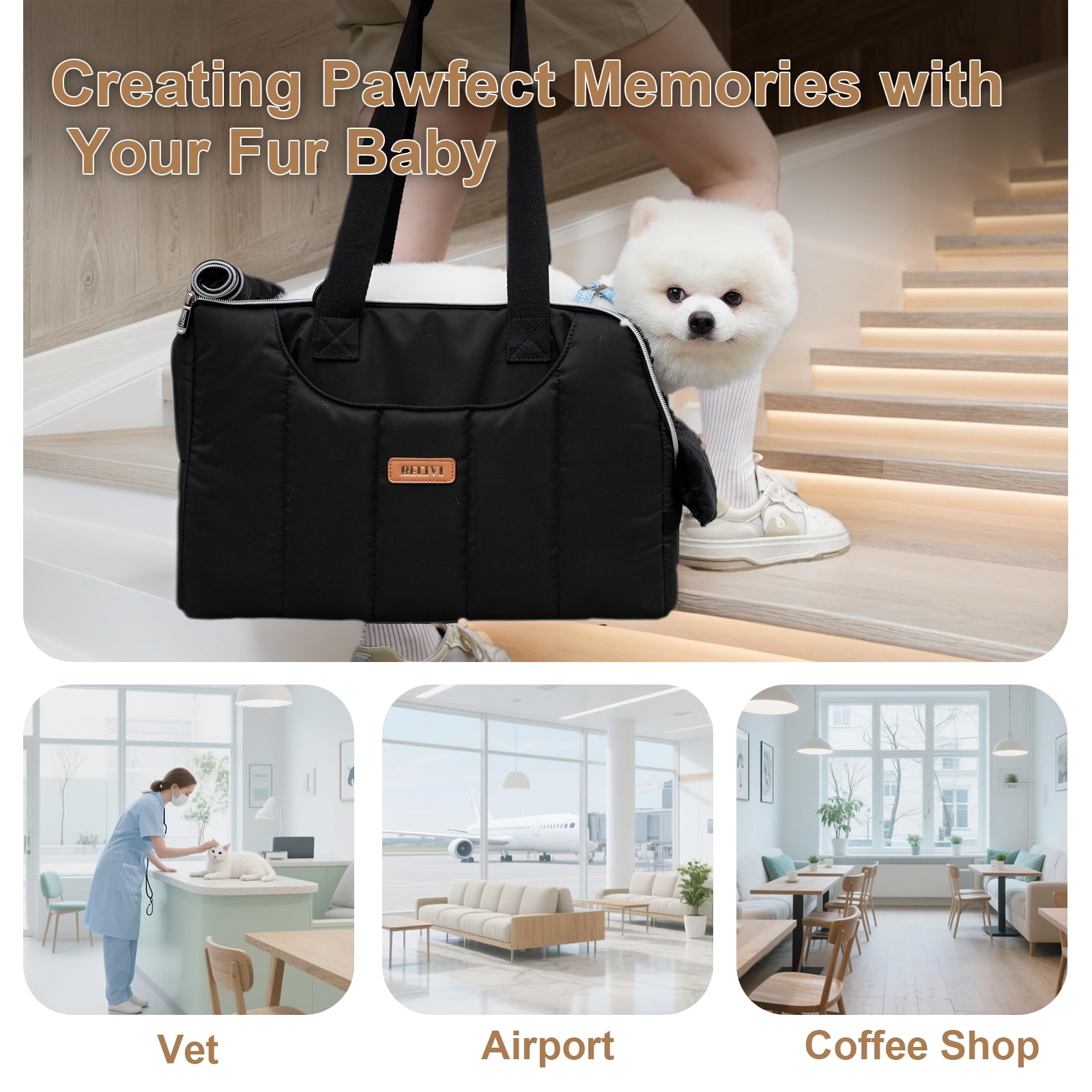 Becivi lightweight portable dog carrier for effortless carrying