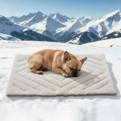 BECROWM dog cooling mat self-cooling foldable for easy setup.