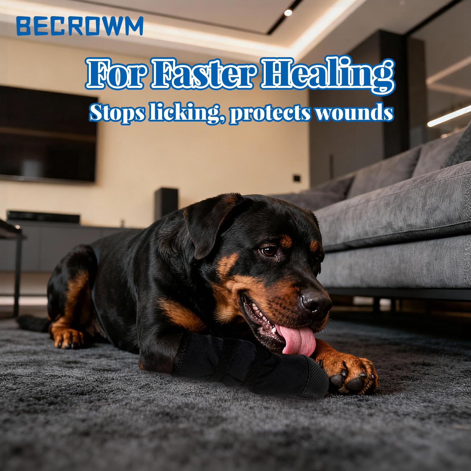BECROWM dog footwear featuring adjustable Velcro straps for a secure, easy fit