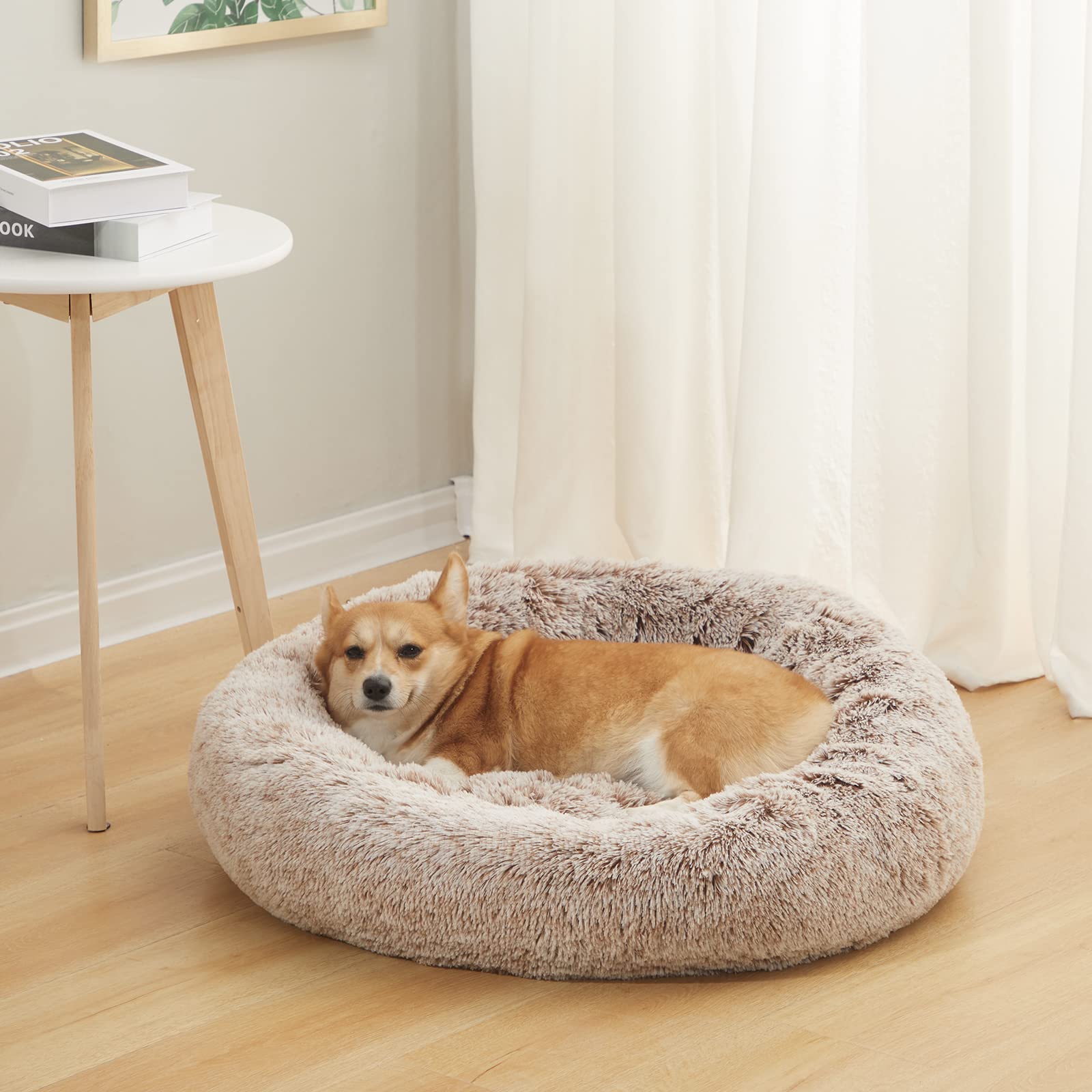 Bedfolks Donut Bed neck-support raised rim enhances comfort during rest.