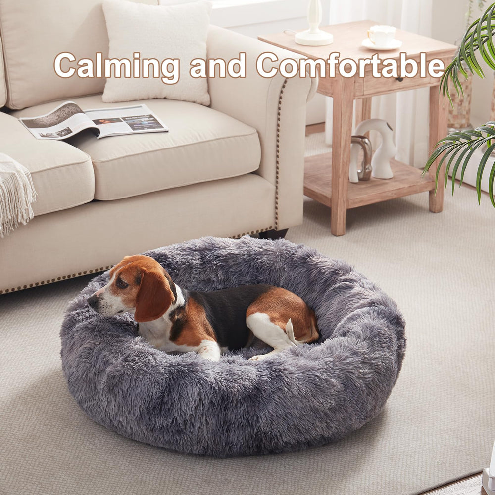 BedStill donut bed with raised edges provides a secure, calming place for pets