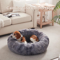 BedStill donut bed with raised edges provides a secure, calming place for pets