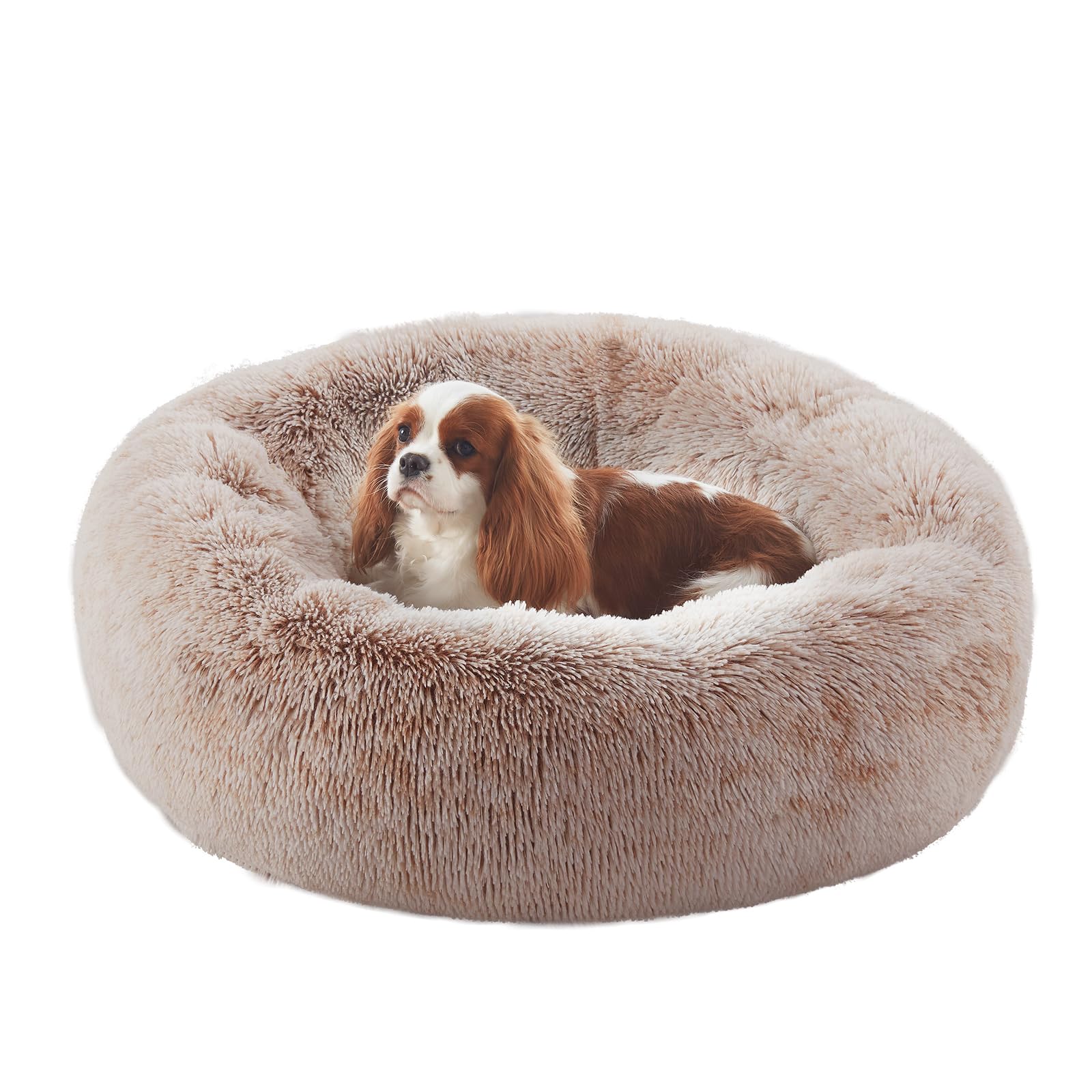 BedStill 30-inch donut dog bed in brown offers cozy, secure resting space.