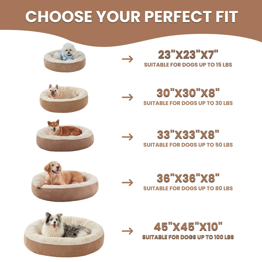 BedStill donut dog bed room shot illustrates stylish, cozy pet corner