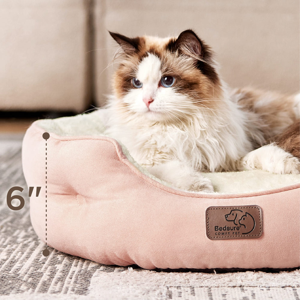 Bedsure 20-inch diameter bed fits small dogs and cats perfectly.