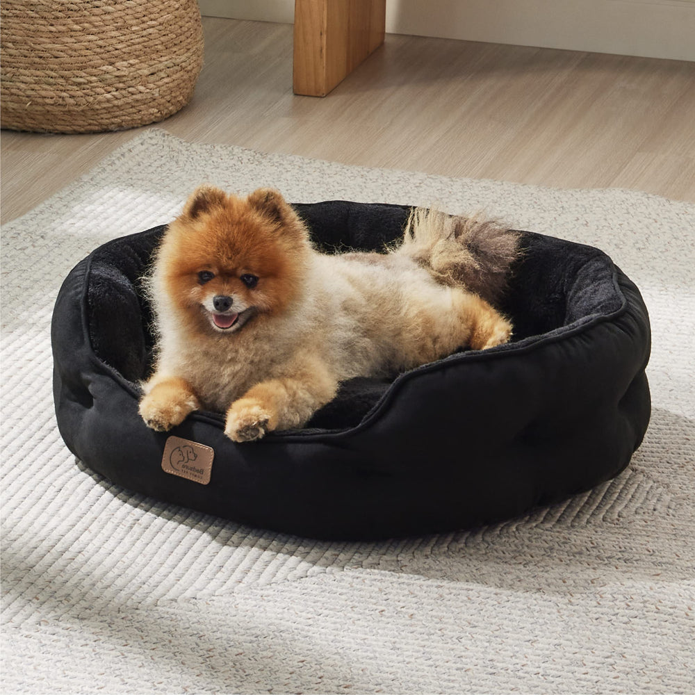 Bedsure 20-inch size fits small dogs and indoor cats comfortably.