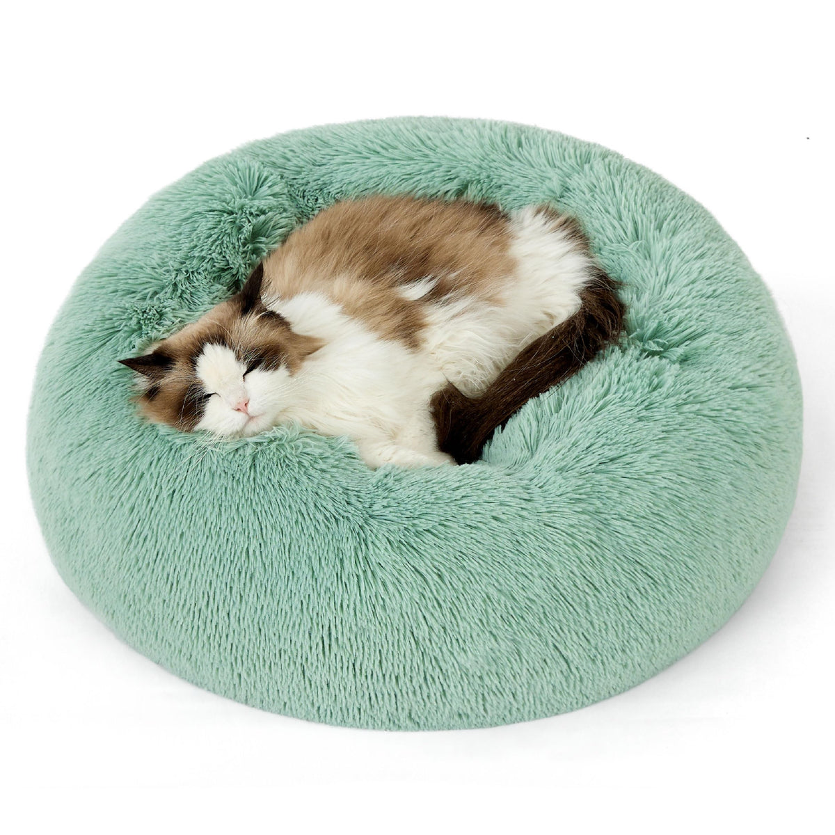 Bedsure calming cat bed in garden green, round shape with soft plush for cozy naps.