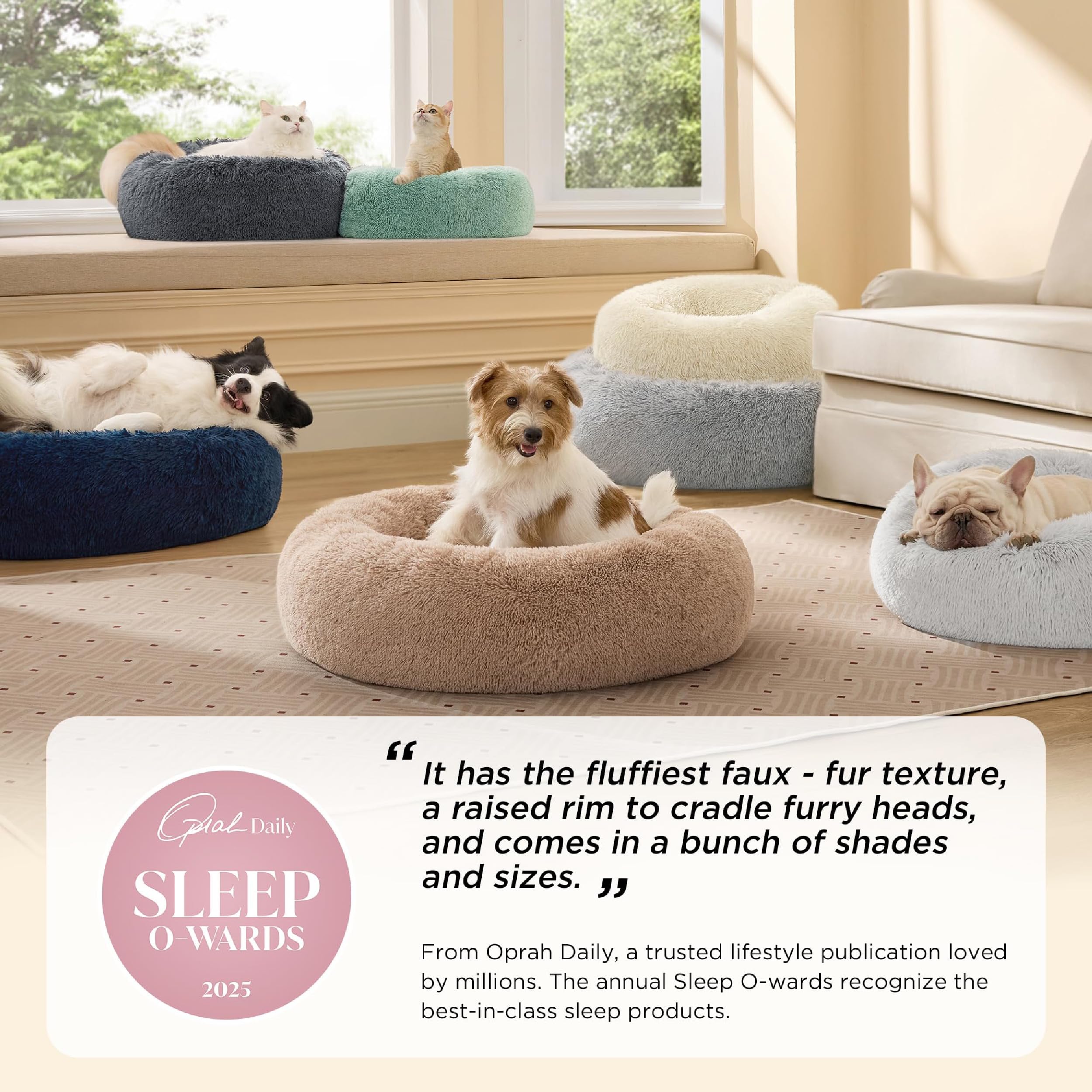 Bedsure calming dog bed rolled edge highlights raised rim for neck support.